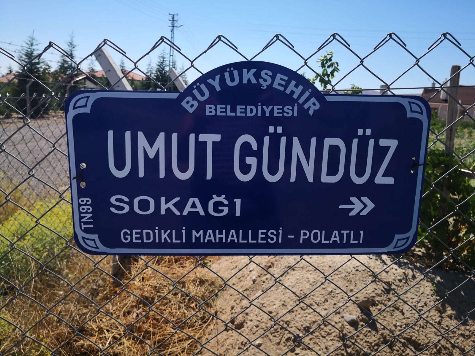 umut 16